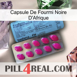 Africa Black Ant Capsule 35